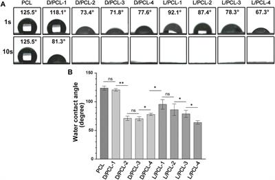 Use of Electrospun Phenylalanine/Poly-ε-Caprolactone Chiral Hybrid Scaffolds to Promote Endothelial Remodeling